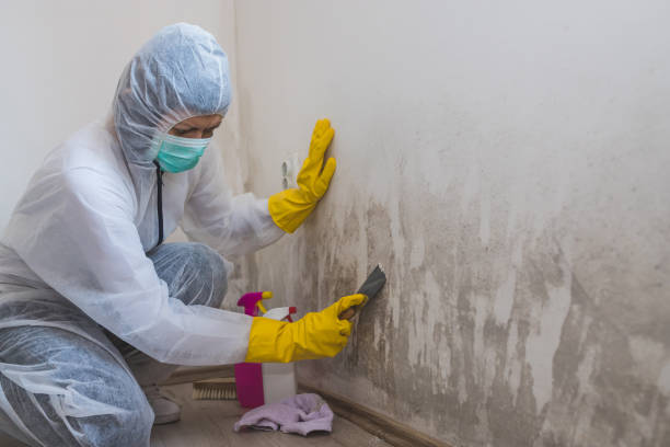 Best Commercial Mold Inspection  in Scotchtown, NY